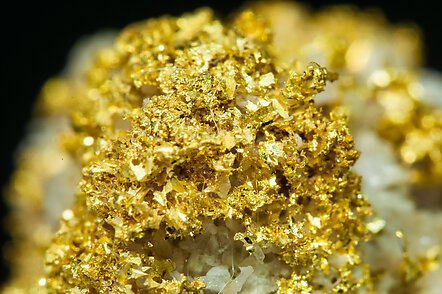 Gold with Quartz. 