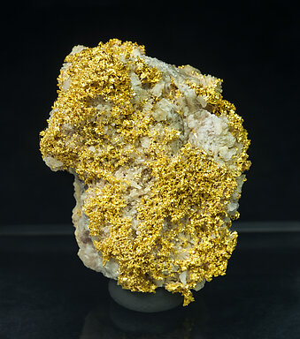 Gold with Quartz.