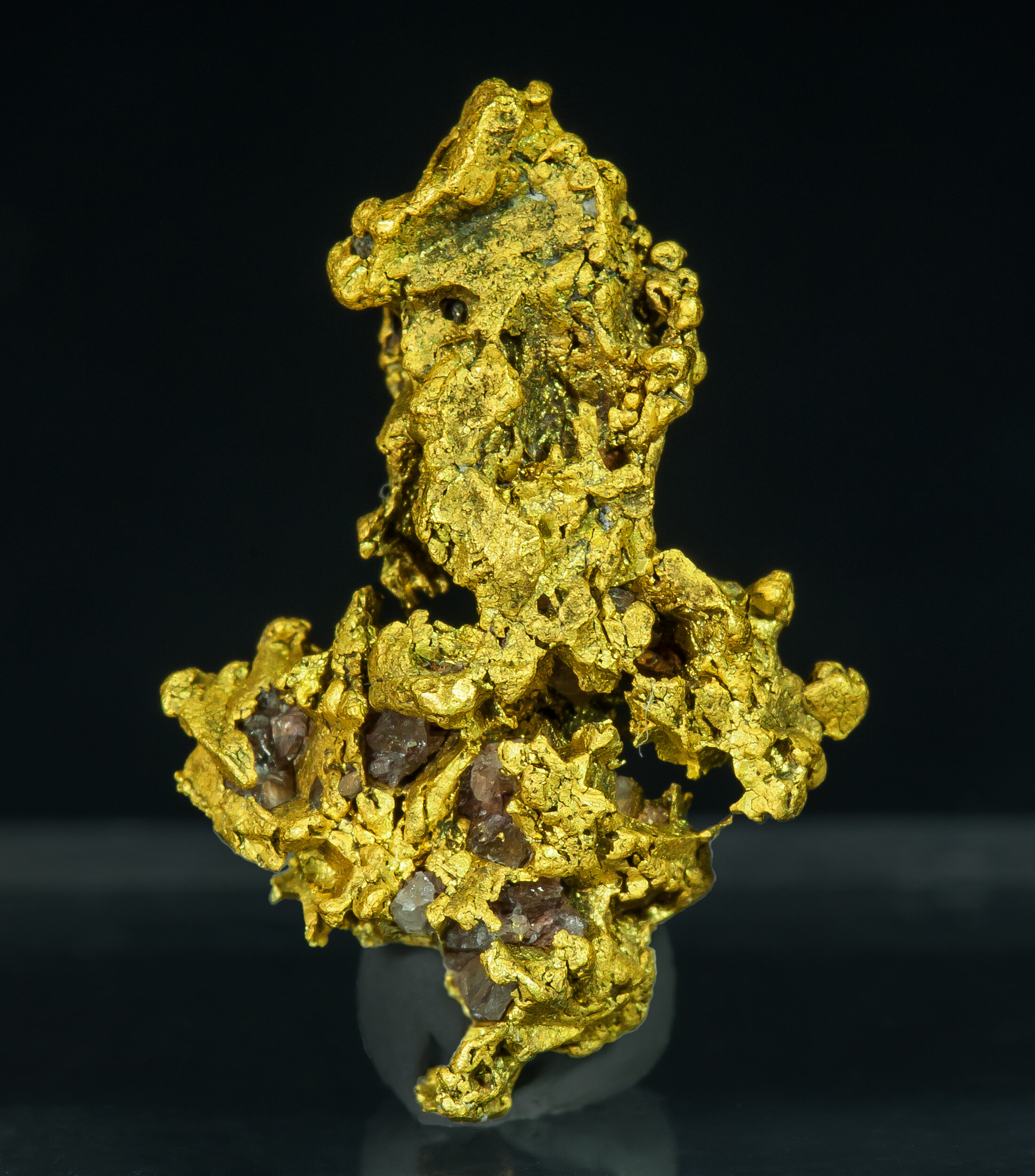 specimens/s_imagesAQ1/Gold-EXL99AQ1r.jpg