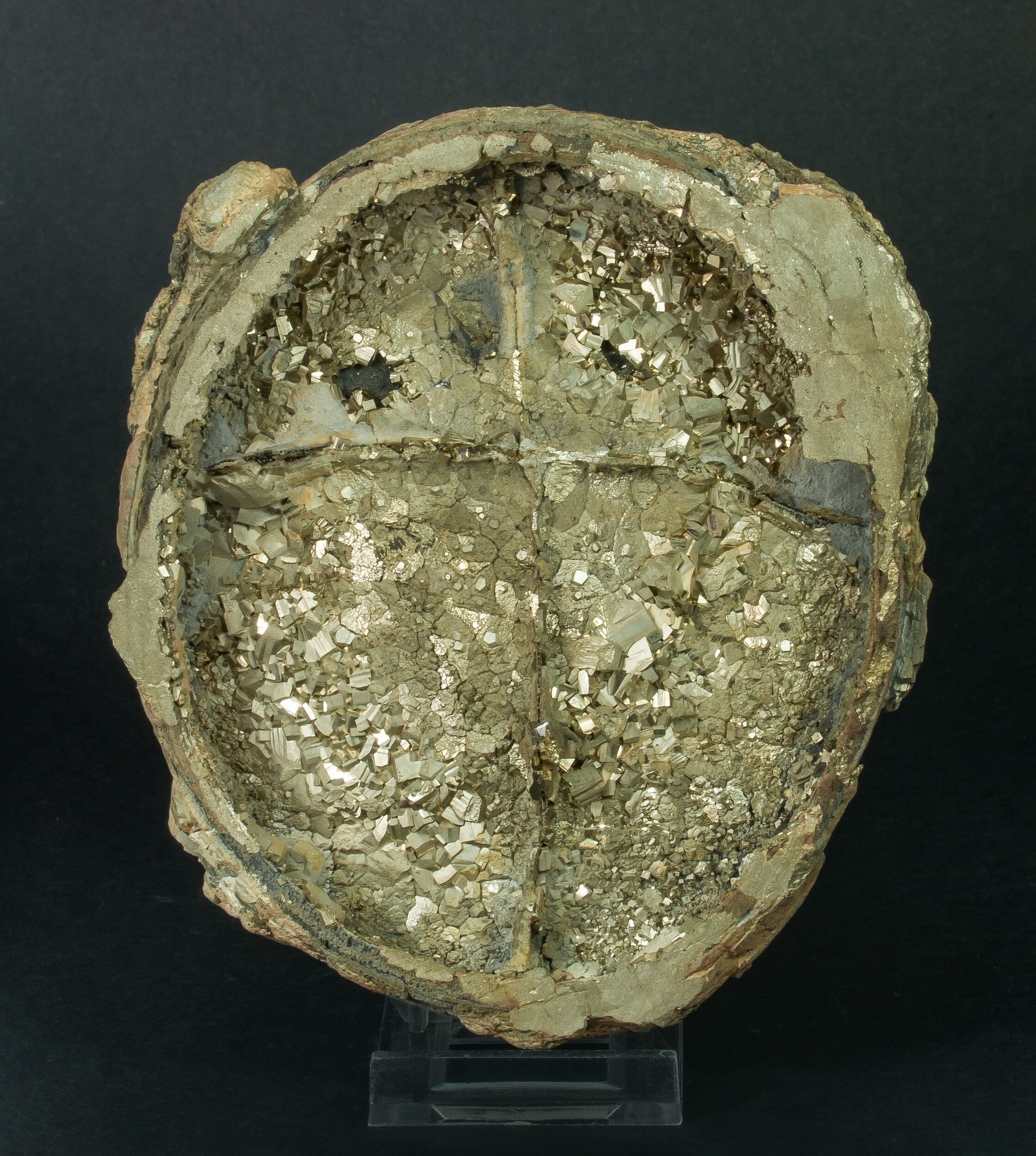 specimens/s_imagesAQ1/Pyrite-EPX98AQ1f.jpg
