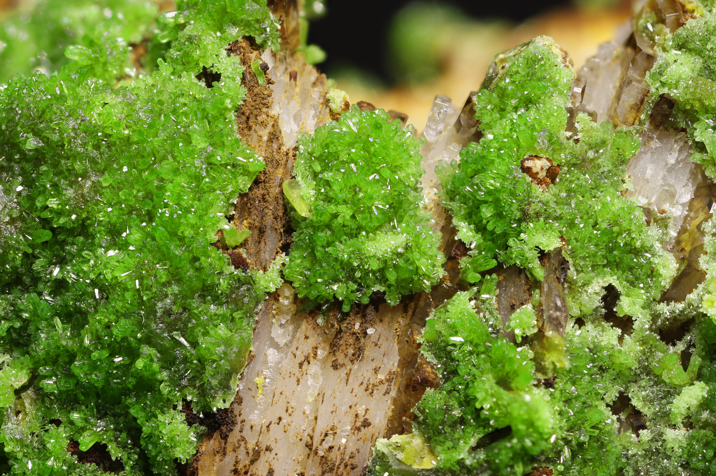 specimens/s_imagesAQ1/Pyromorphite-ETR47AQ1_1293_d.jpg