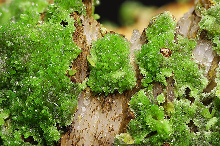 Pyromorphite with Baryte. Detail / Photo: Joaquim Calln