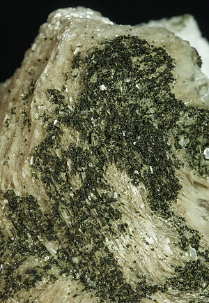 Greifensteinite with Muscovite and Albite. 