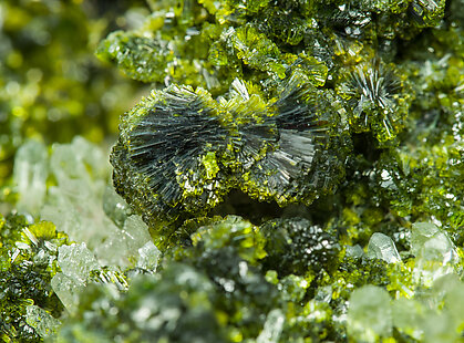 Epidote with Quartz. 