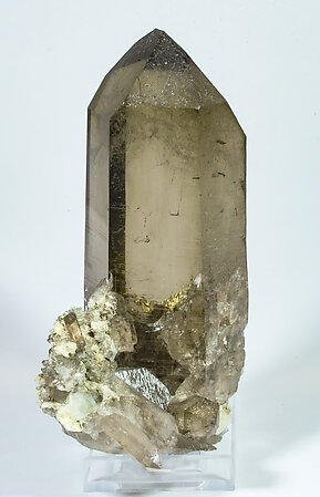 Quartz (variety smoky quartz) with Albite. Side