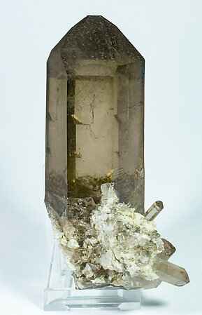 Quartz (variety smoky quartz) with Albite. Front