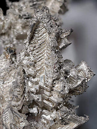 Silver with Calcite. Detail / Foto: Joaquim Calln