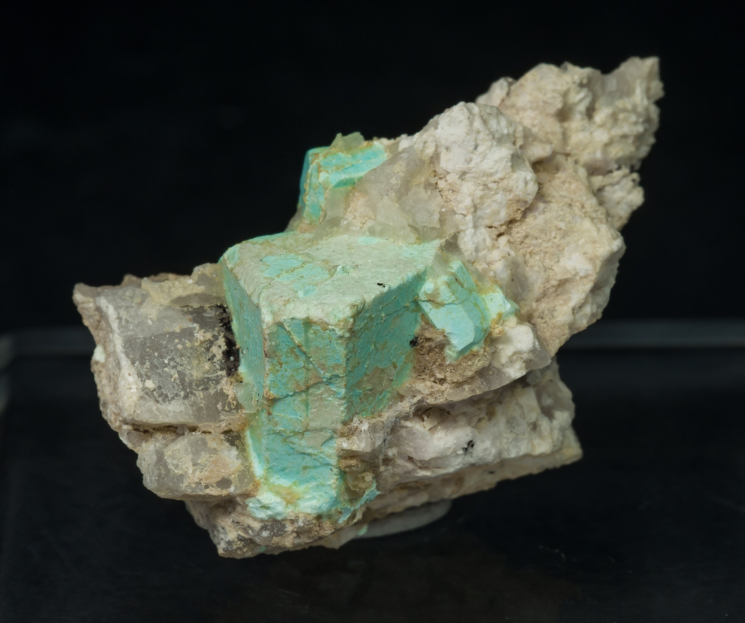 specimens/s_imagesAQ1/Turquoise-EXJ16AQ1f.jpg