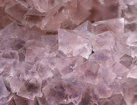 Fluorite (octahedral) with Quartz (variety smoky). Detail / Photo: Joaquim Calln