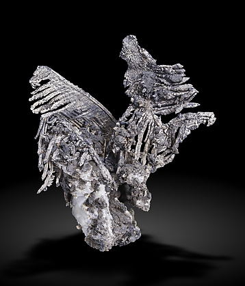 Silver with coatings of Acanthite and with Calcite.