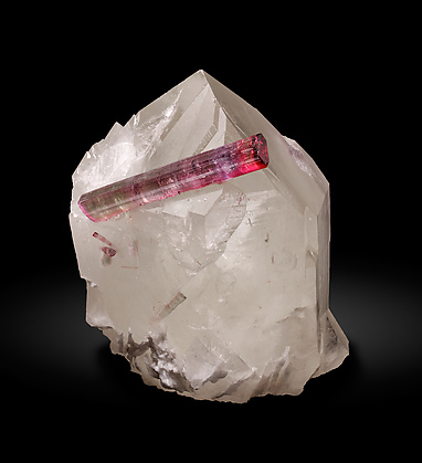 Elbaite (variety rubellite) with Quartz and Albite.