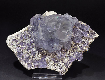 Fluorite, Muscovite, Quartz, Arsenopyrite.