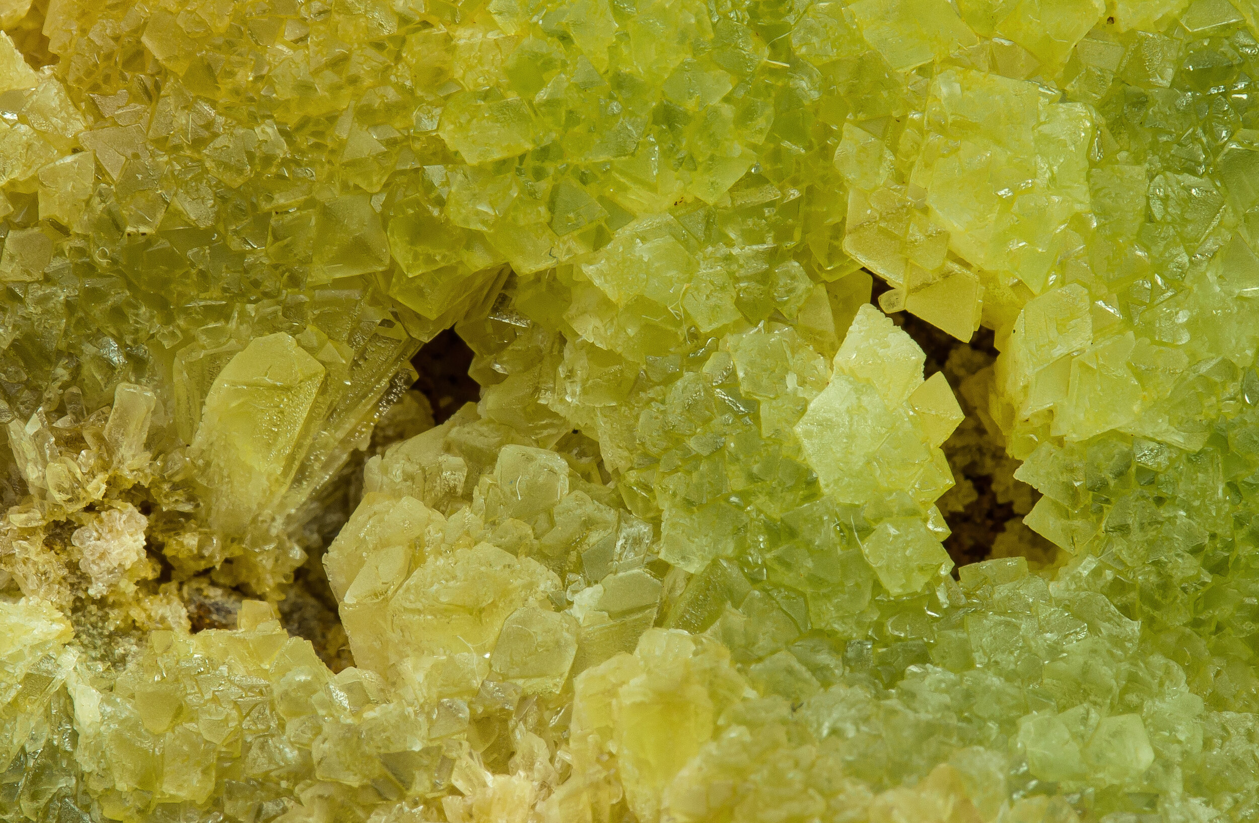 specimens/s_imagesCM/Adamite-20MJX160_d.jpg