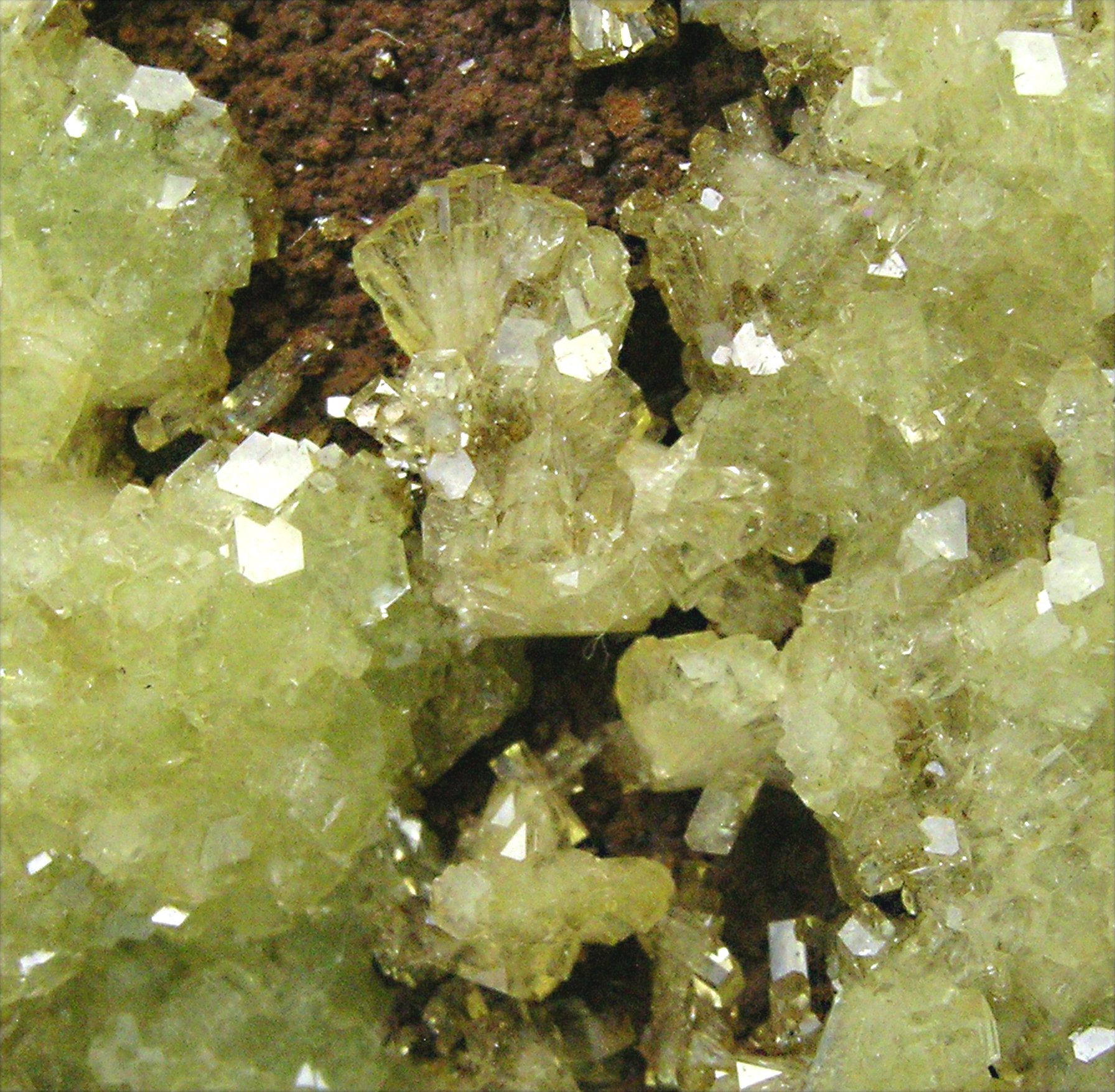 specimens/s_imagesCM/Adamite5TD76M9d.jpg