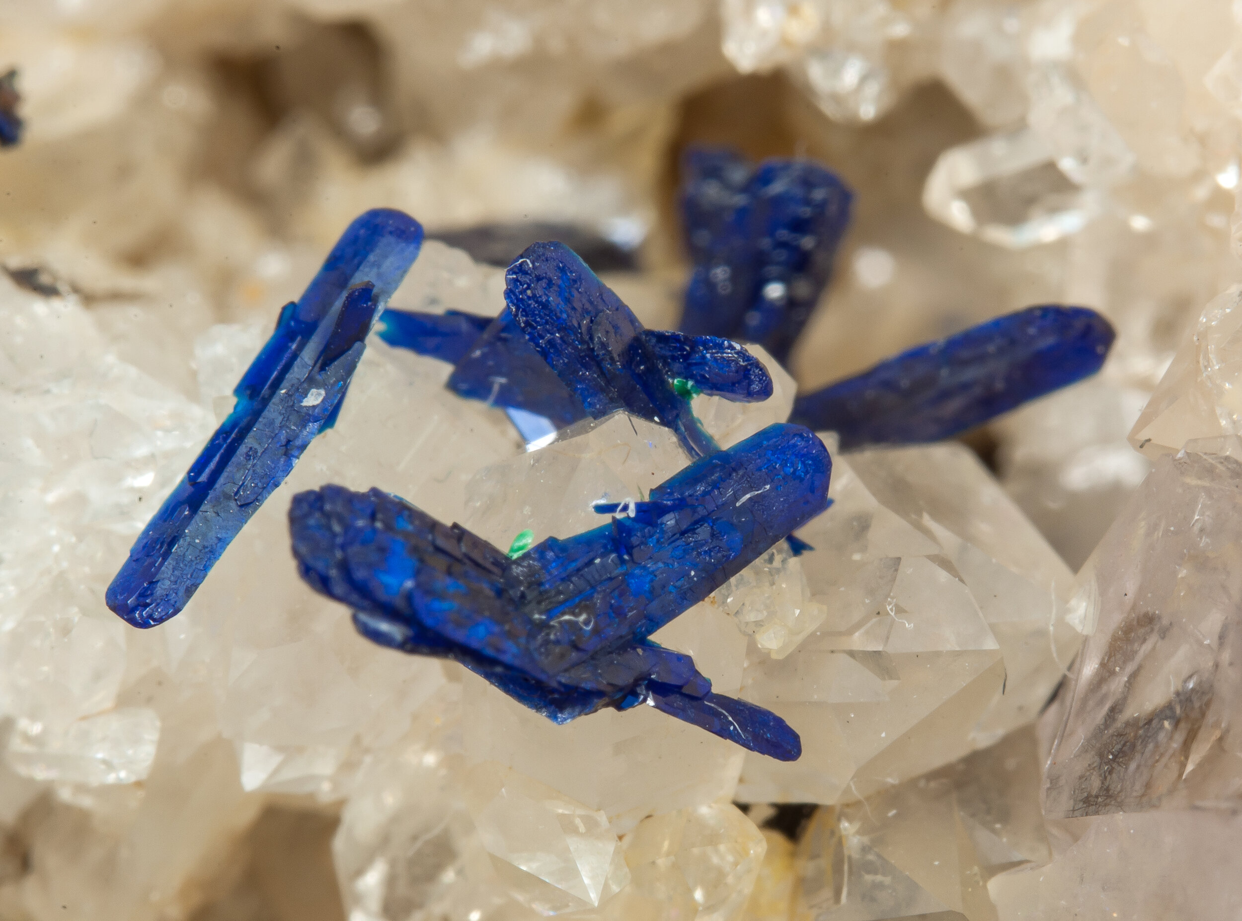 specimens/s_imagesCM/Azurite-21NBX130_d.jpg