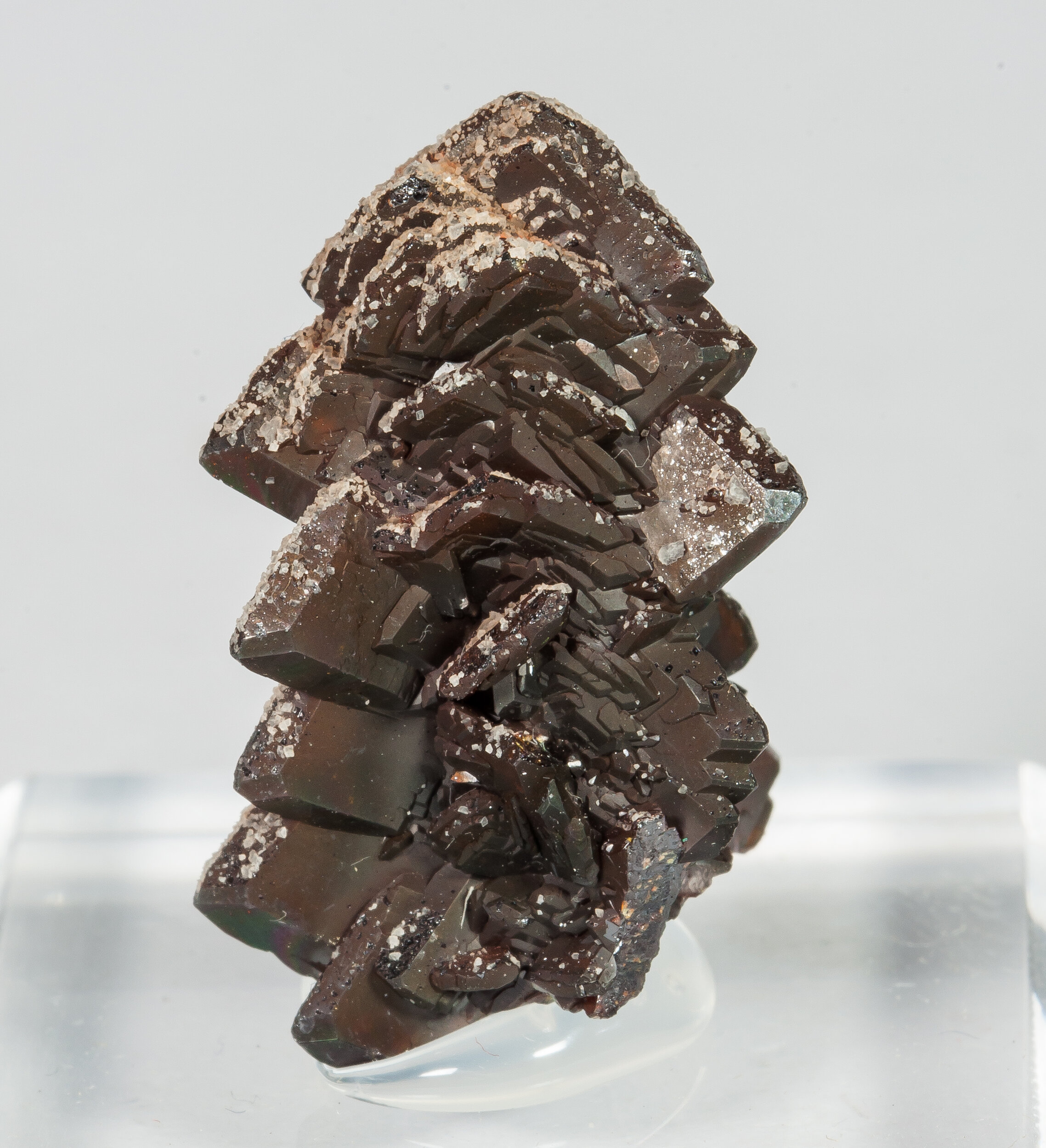 specimens/s_imagesCM/Descloizite-17EA70_f.jpg