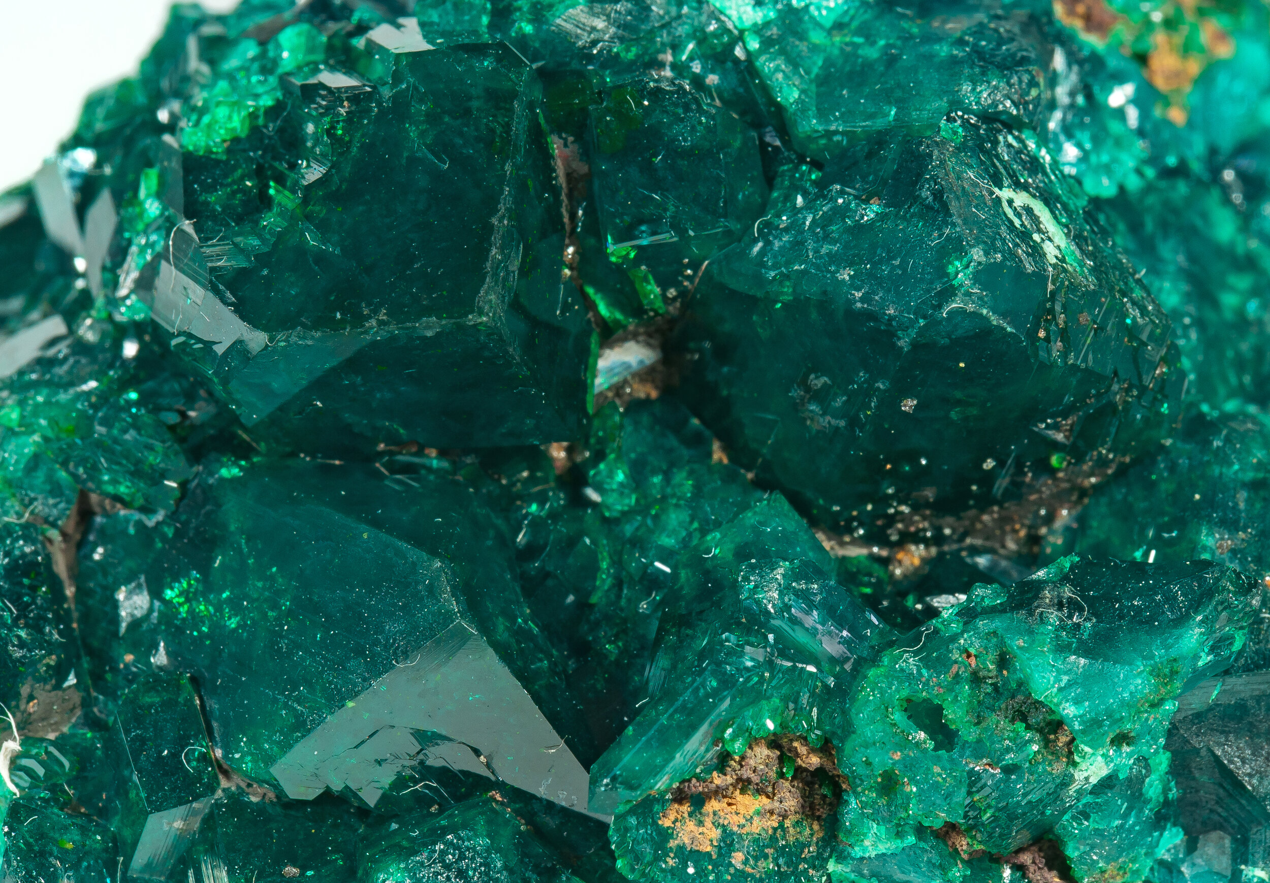 specimens/s_imagesCM/Dioptase-22TBT180_d.jpg