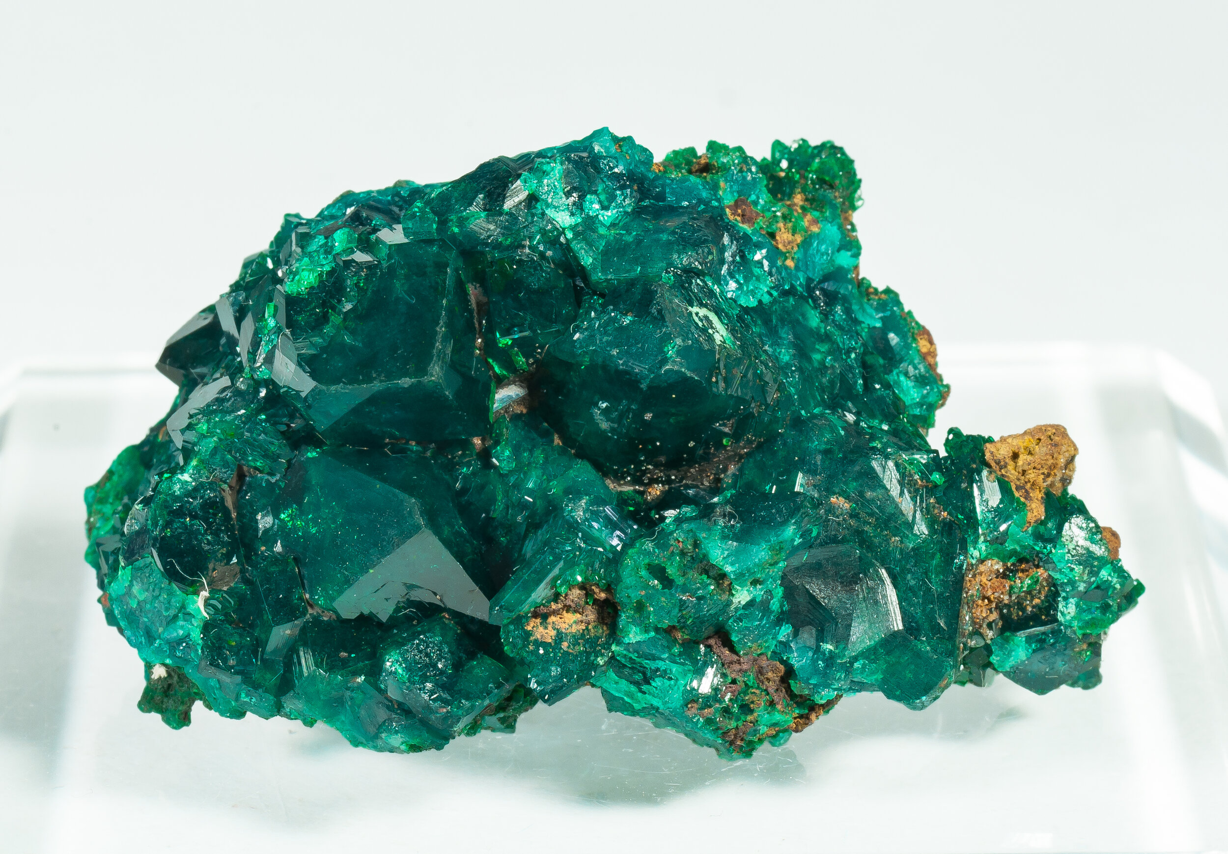 specimens/s_imagesCM/Dioptase-22TBT180_f.jpg