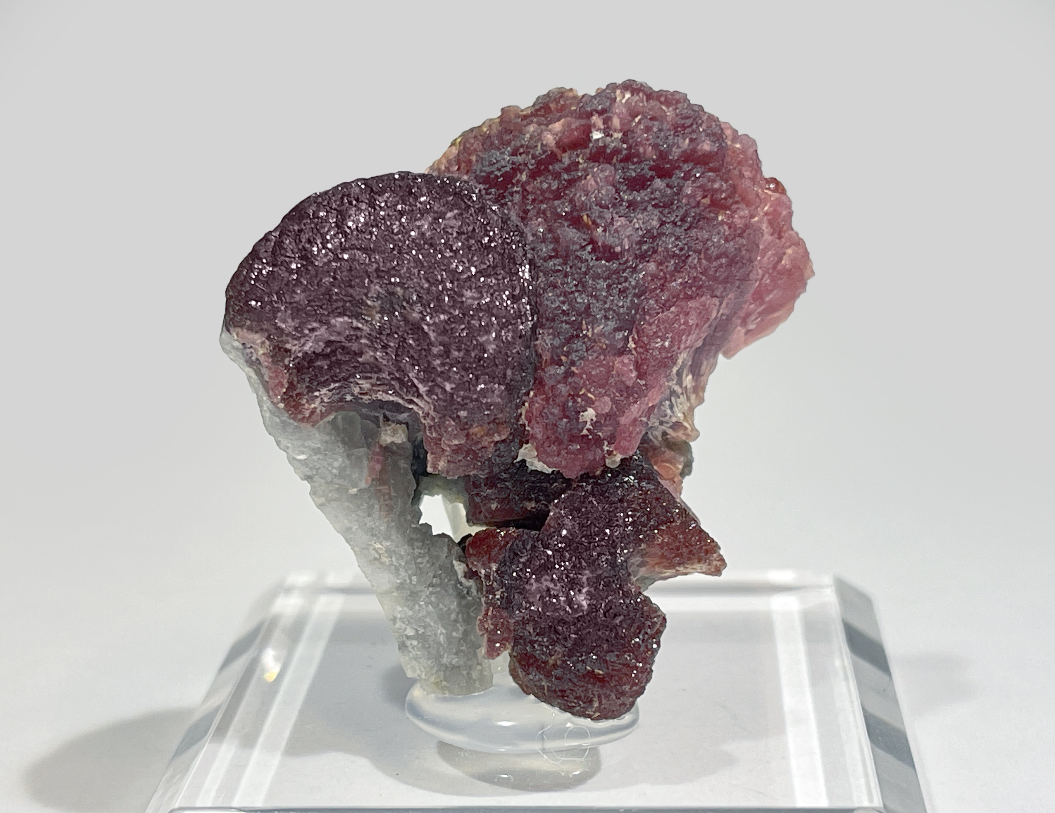 specimens/s_imagesCM/Elbaite-9TQ37V7f.jpg
