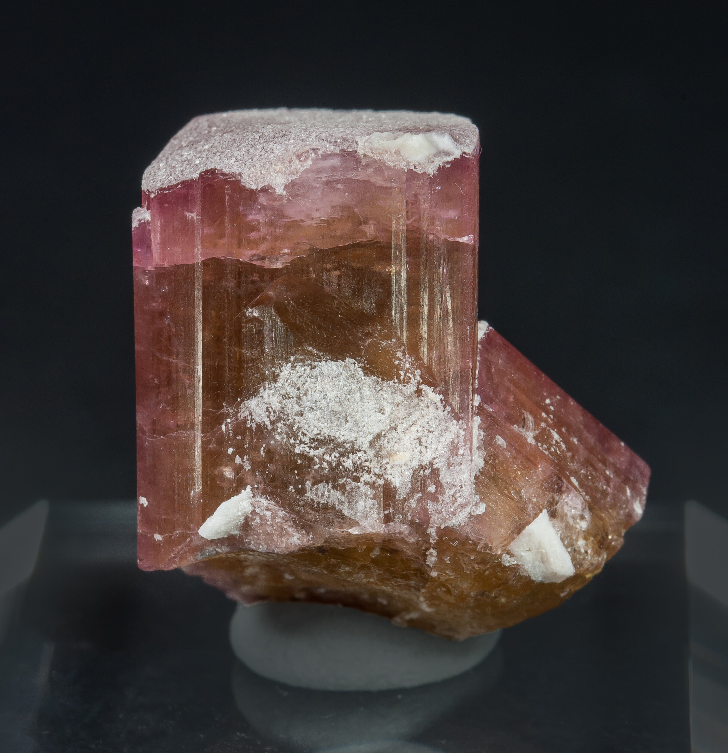 specimens/s_imagesCM/Elbaite-Schorl-21ELB180_r.jpg
