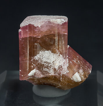 Elbaite-Schorl Series (variety rubellite), Feldspar. Rear