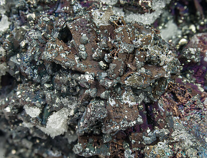 Enargite, Chalcocite, Chalcopyrite, Calcite. Detail