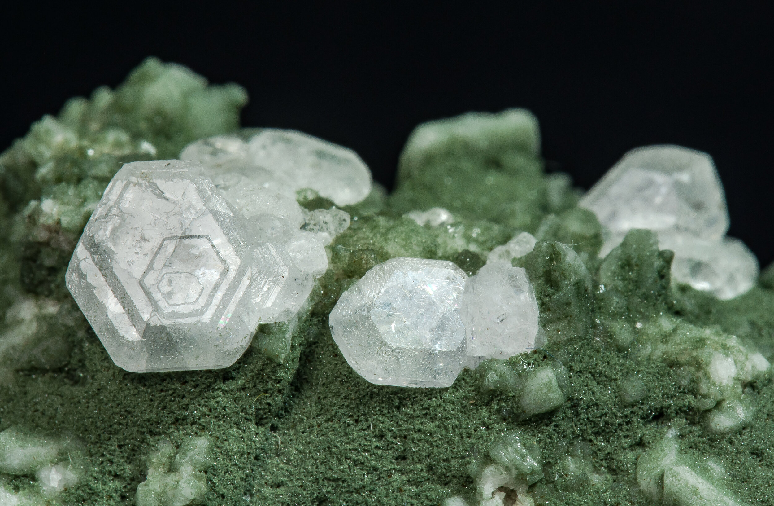 specimens/s_imagesCM/Fluorapatite-22TVR130_d.jpg