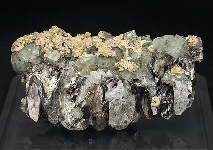 Fluorapatite, Muscovite, Siderite.