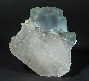 Fluorite, Quartz, Muscovite.