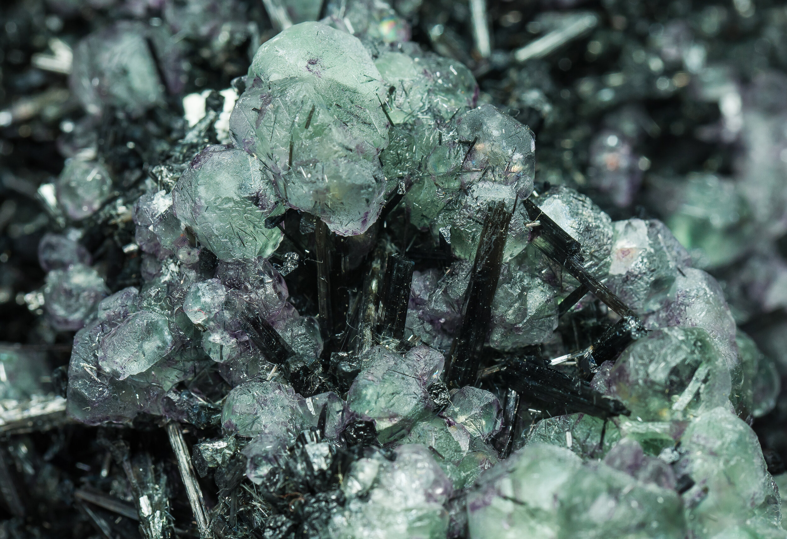 specimens/s_imagesCM/Fluorite-20FMX240_d.jpg