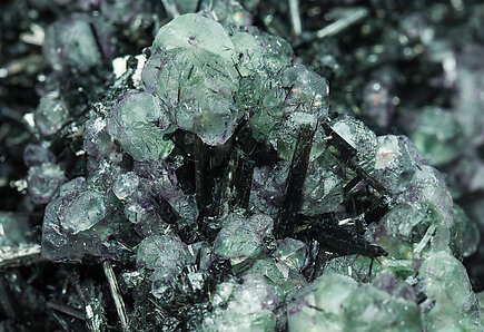 Fluorite, Schorl, Herderite. Detail