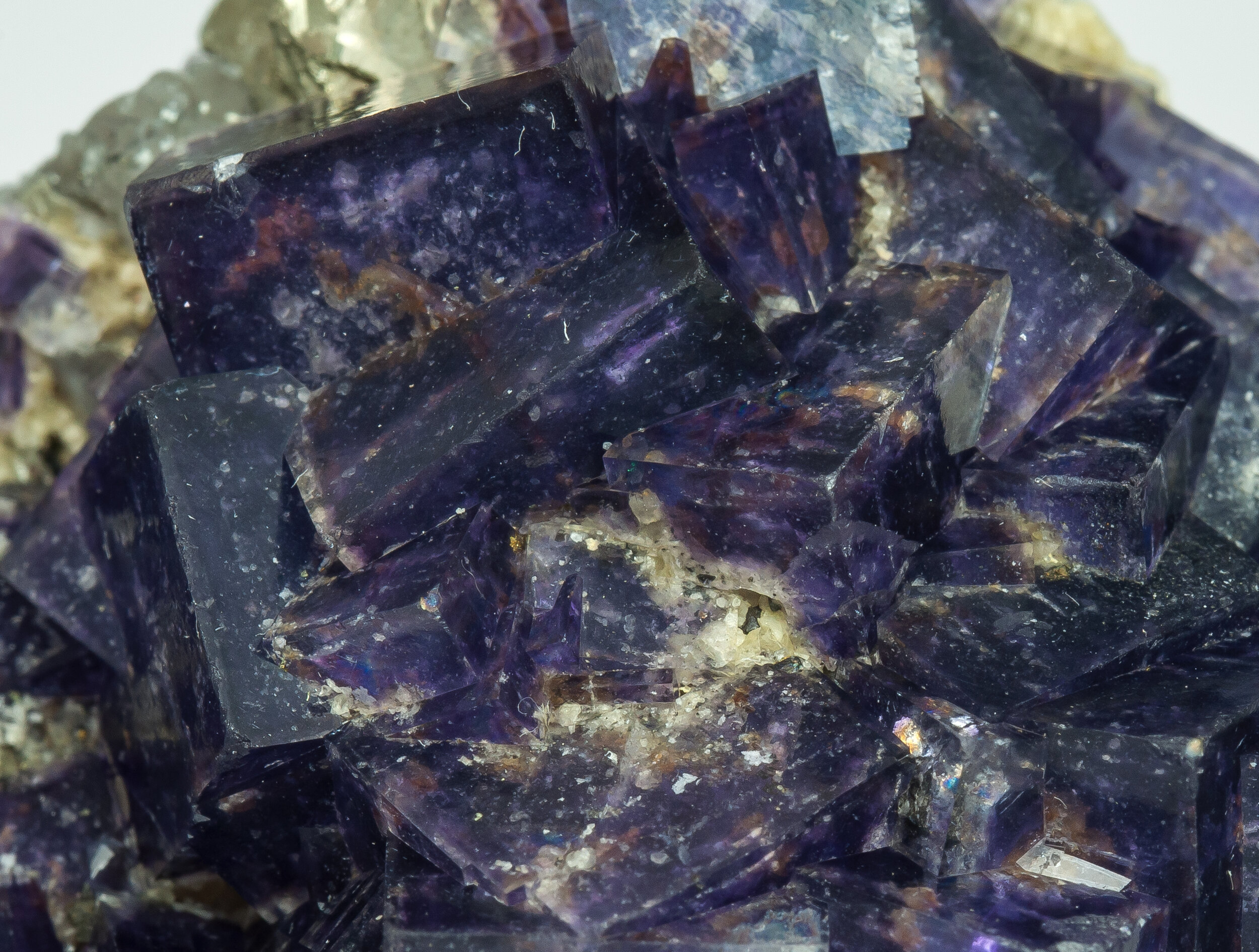 specimens/s_imagesCM/Fluorite-20TRX160_d.jpg