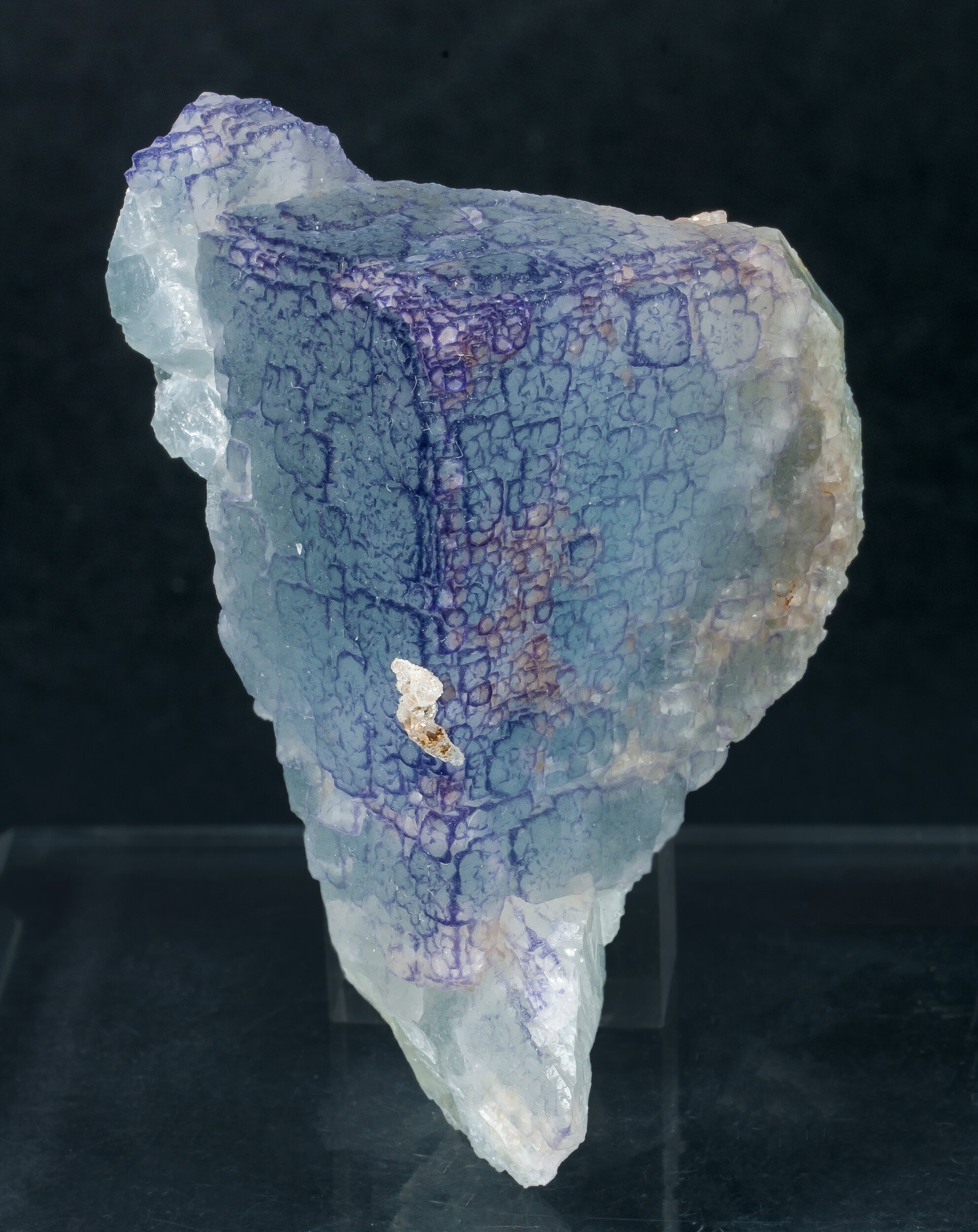 specimens/s_imagesCM/Fluorite-22MRA60_f.jpg