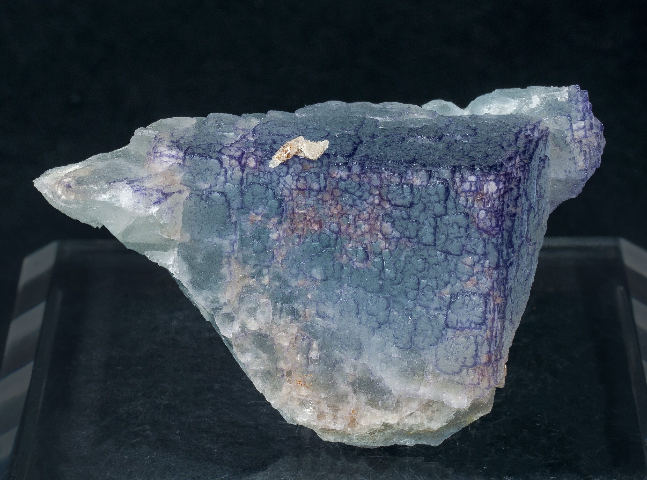 specimens/s_imagesCM/Fluorite-22MRA60_s.jpg