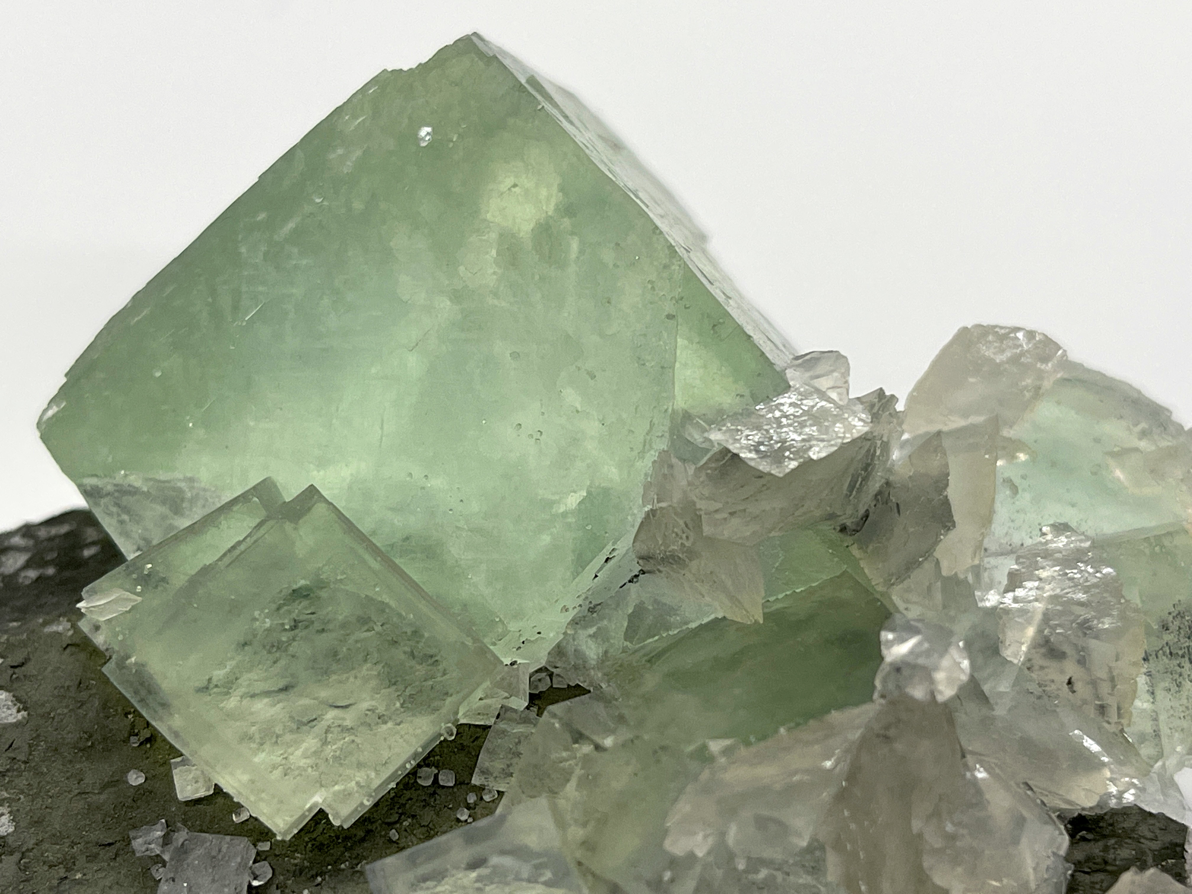 specimens/s_imagesCM/Fluorite-9JB88X0d.jpg