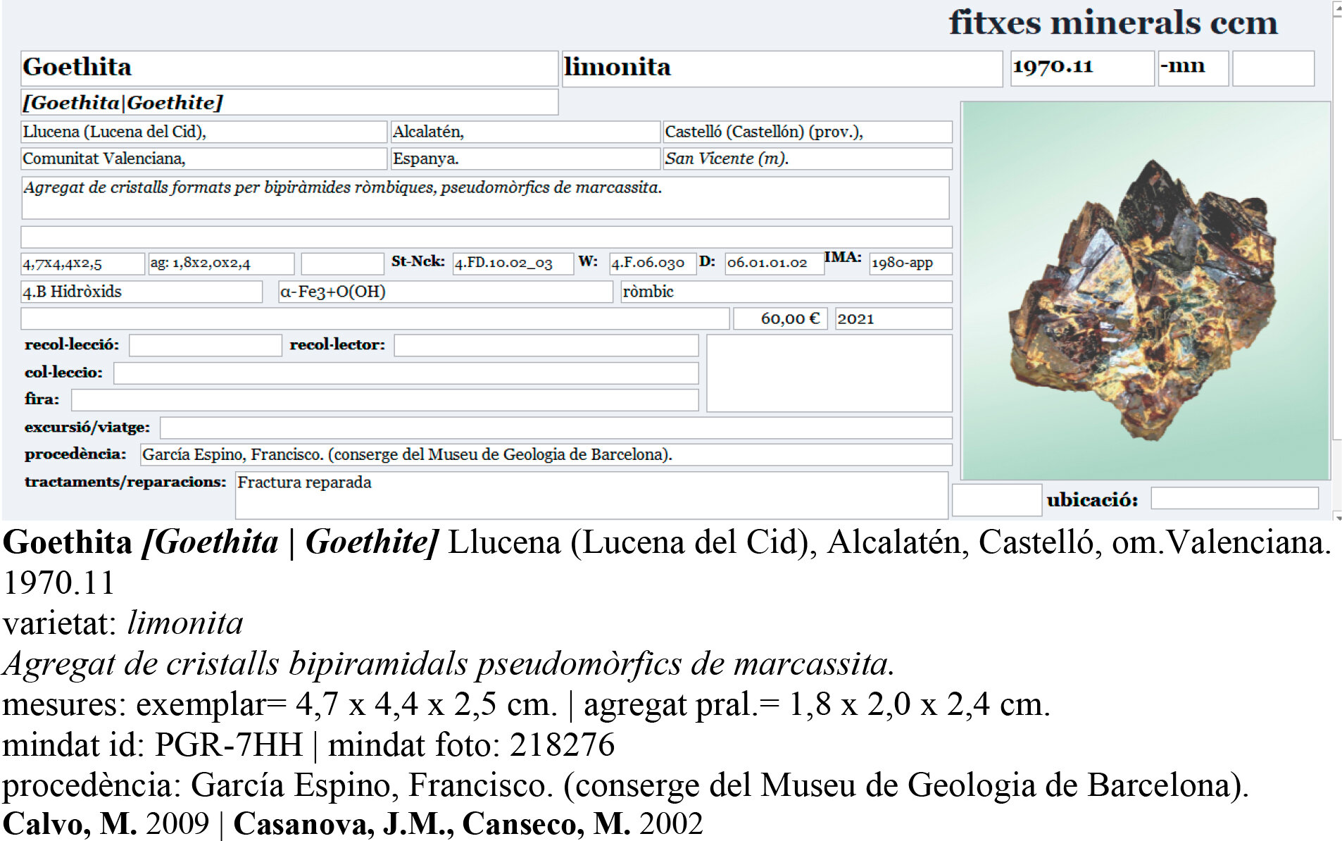 specimens/s_imagesCM/Goethite-18CBR40_e.jpg