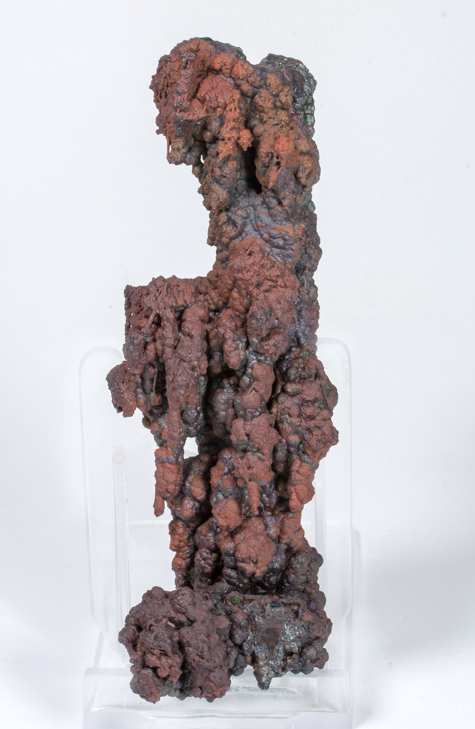 specimens/s_imagesCM/Goethite-9FL26XXXr.jpg