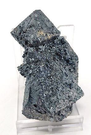 Hematite after Magnetite (variety martite). Back face