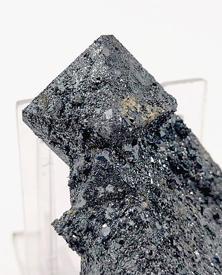 Hematite after Magnetite (variety martite). Back face detail