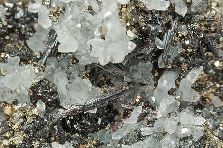 Hutchinsonite, Quartz, Pyrite. 