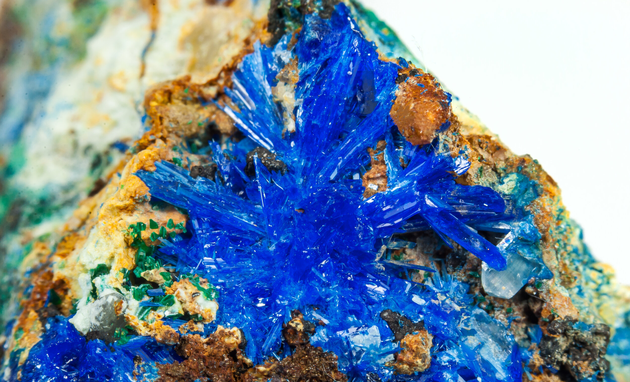 specimens/s_imagesCM/Linarite-18EQ90_d.jpg