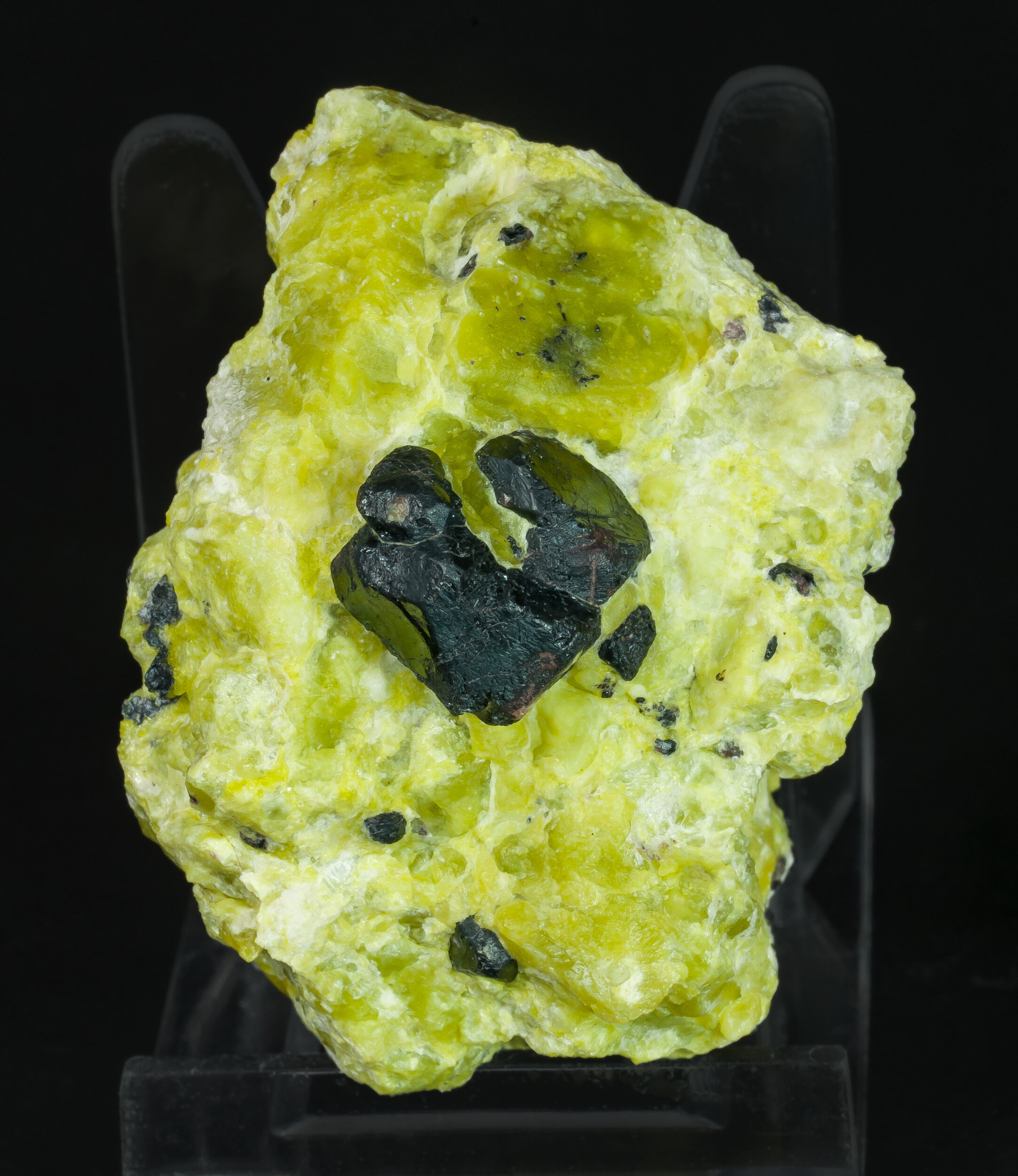 specimens/s_imagesCM/Lizardite-23MTX80_f.jpg