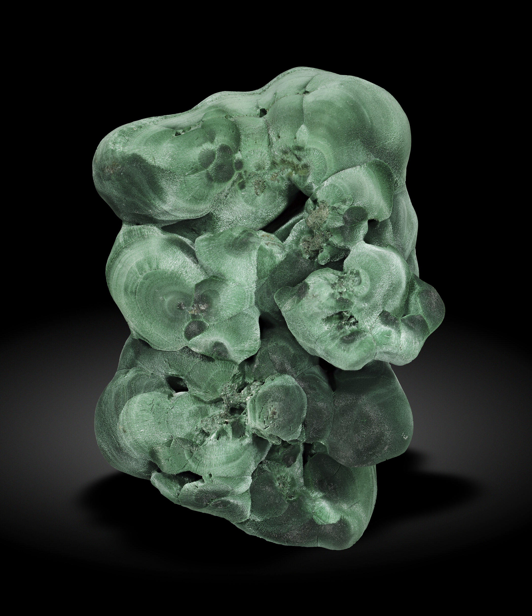 specimens/s_imagesCM/Malachite-11TGJ16r.jpg