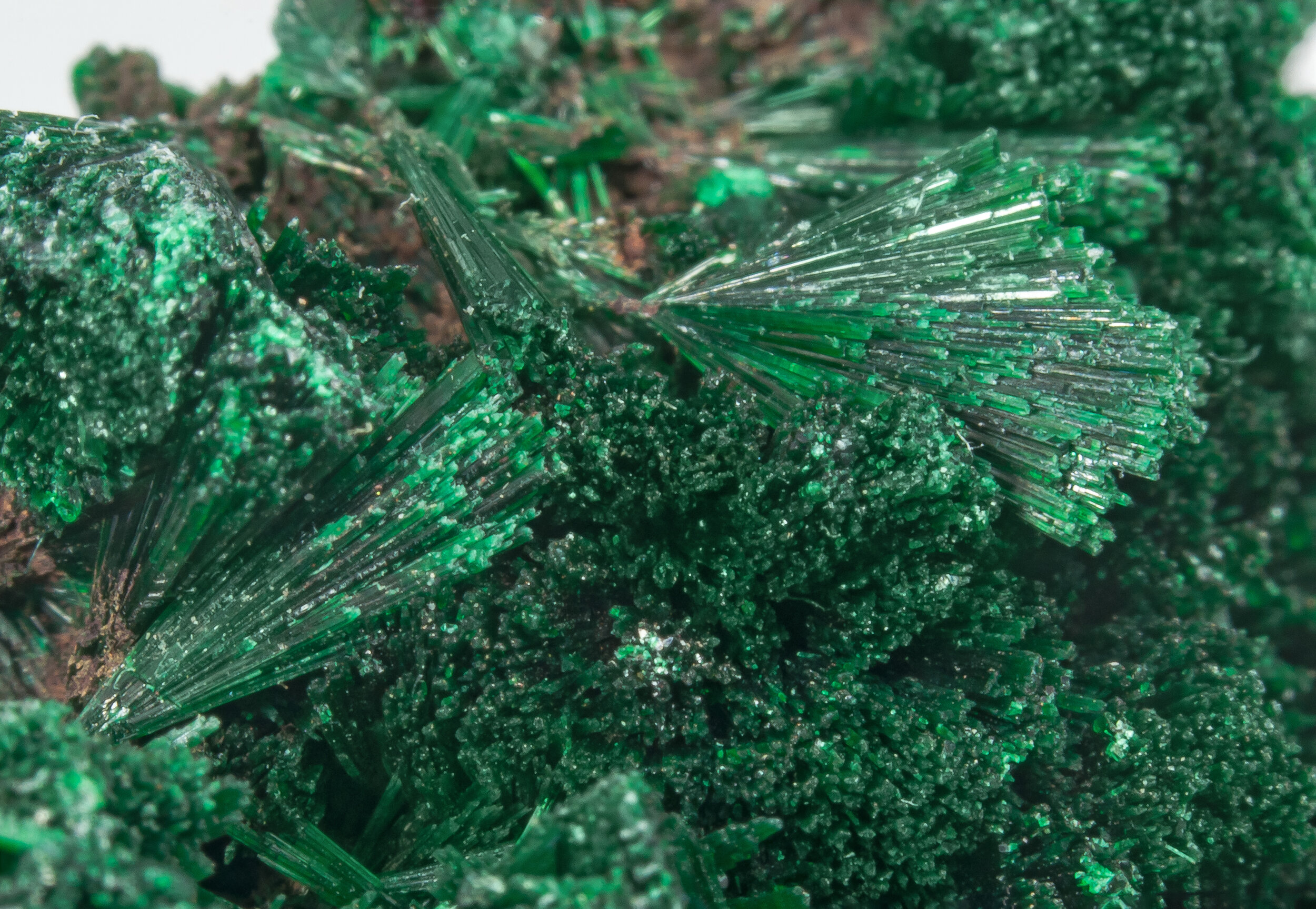 specimens/s_imagesCM/Malachite-21TZX140_d.jpg