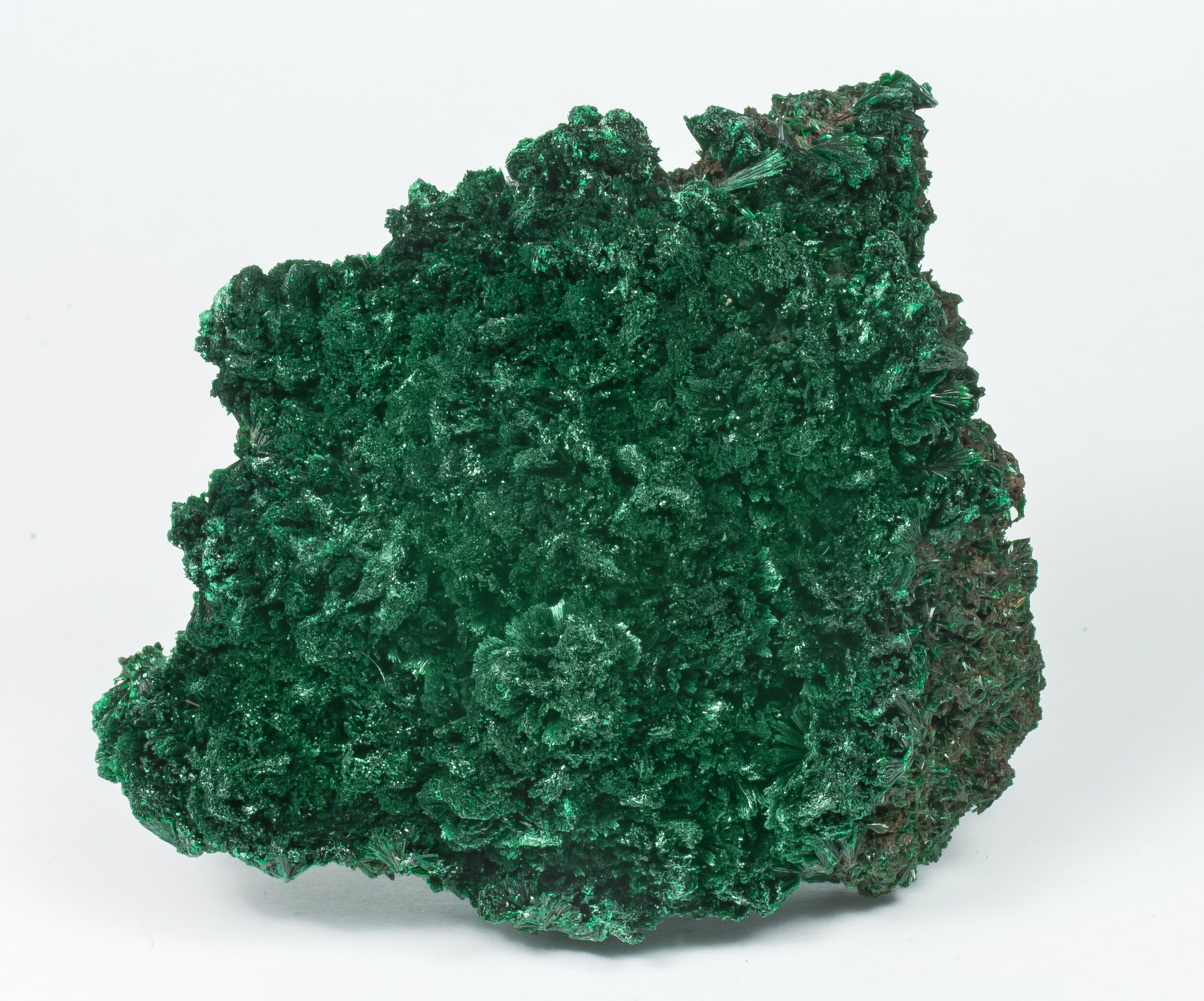 specimens/s_imagesCM/Malachite-21TZX140_f.jpg