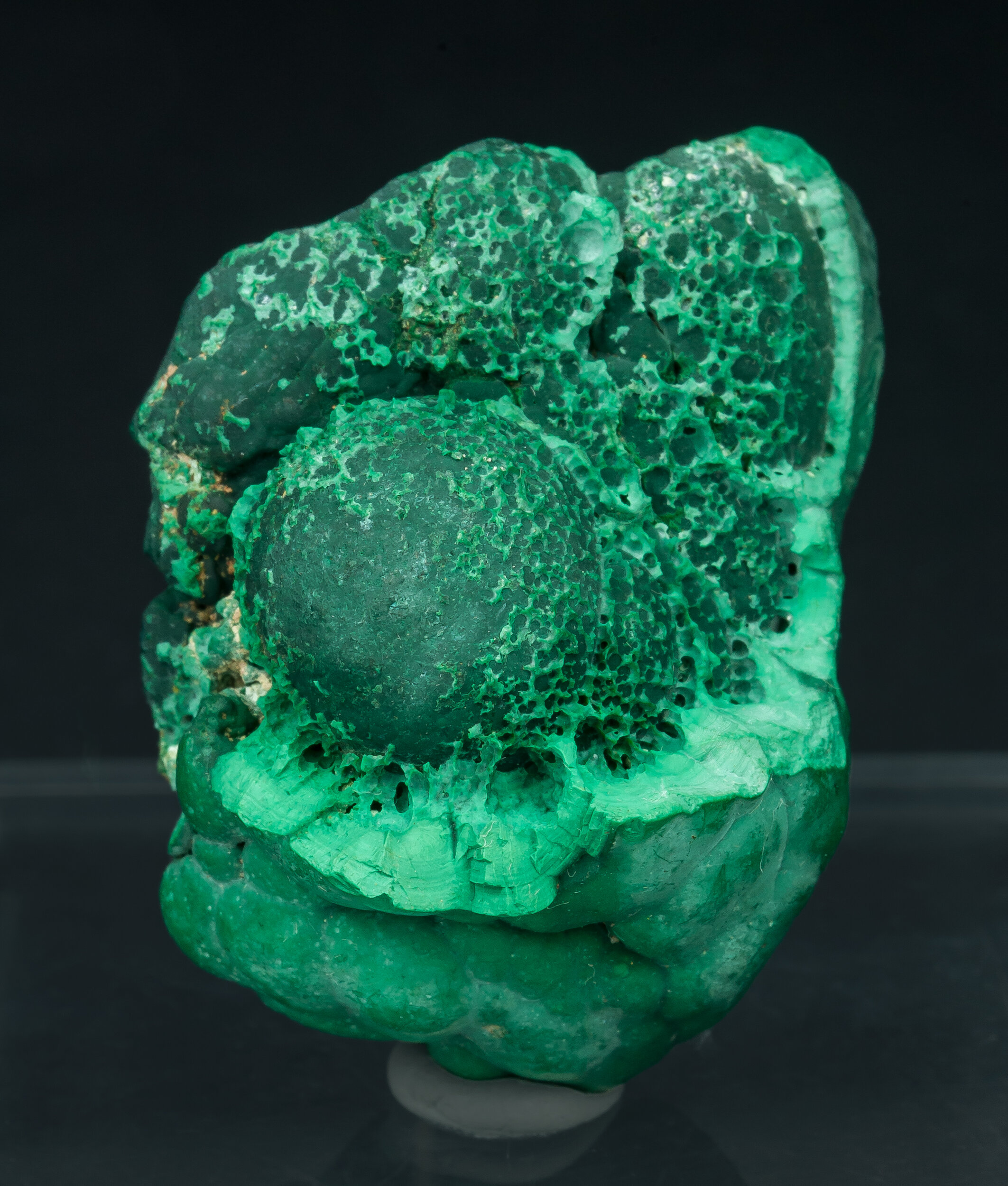 specimens/s_imagesCM/Malachite-22TBR80_f.jpg