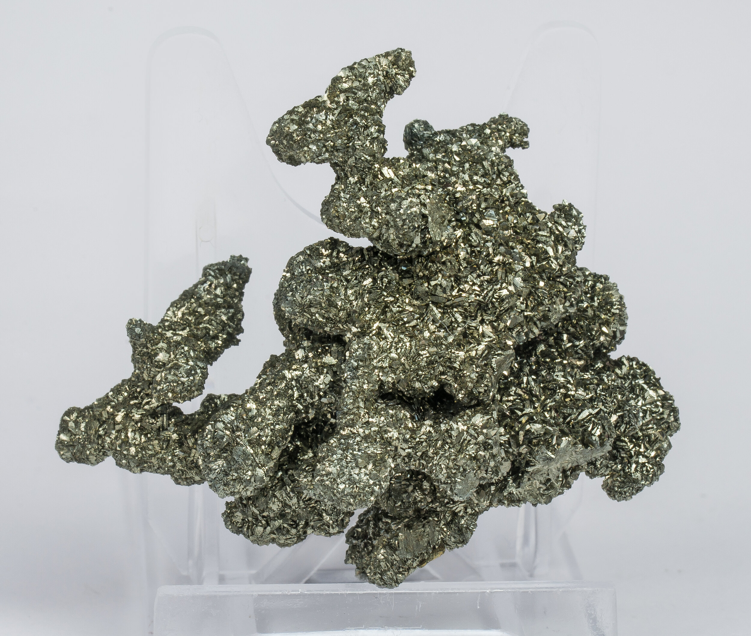 specimens/s_imagesCM/Marcasite-17EH60_f.jpg