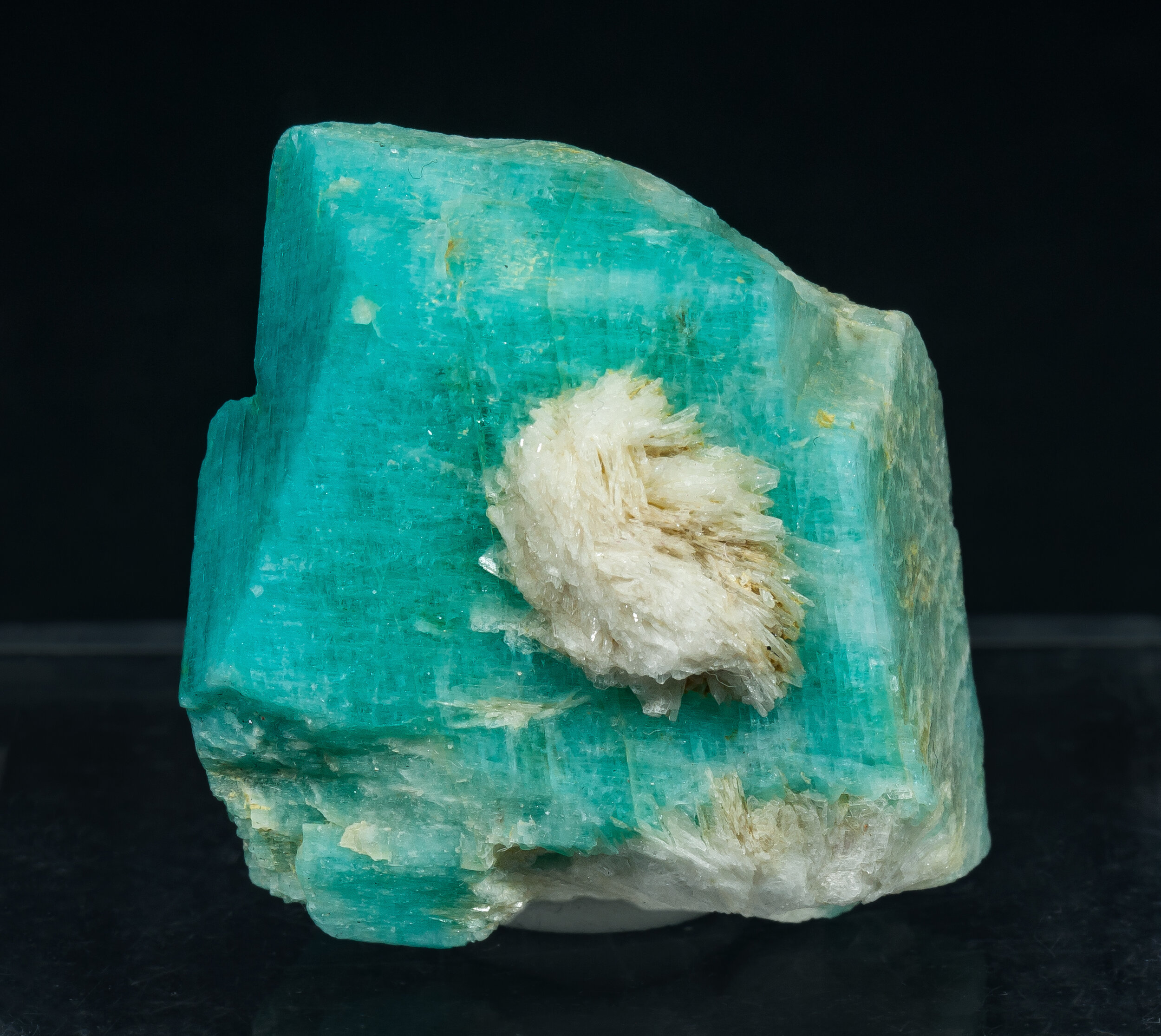 specimens/s_imagesCM/Microcline_amazonite-22TXM85_f.jpg