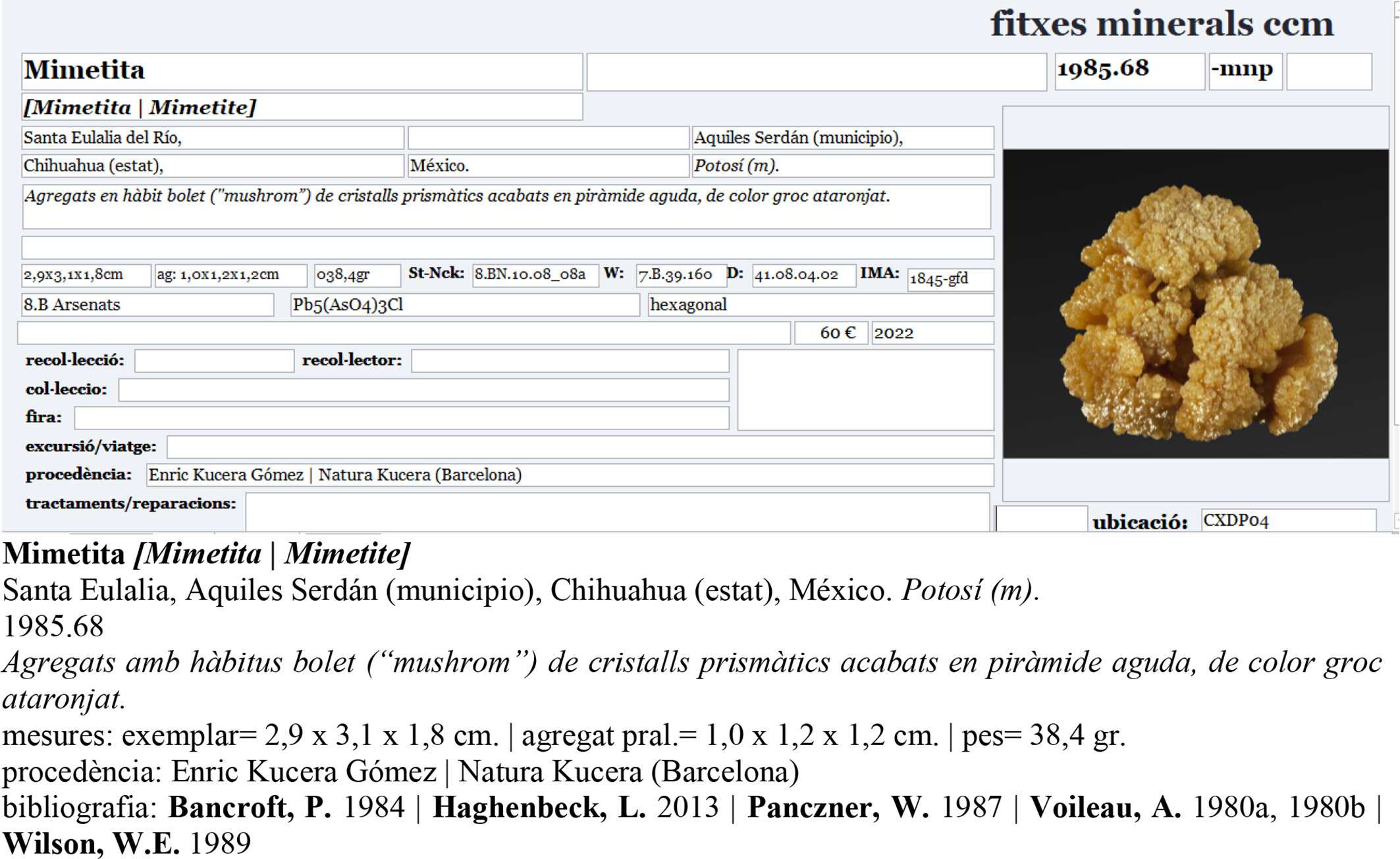 specimens/s_imagesCM/Mimetite-20CBR90_e.jpg