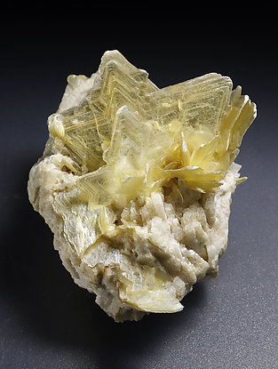 Muscovite, Quartz, Feldspar.